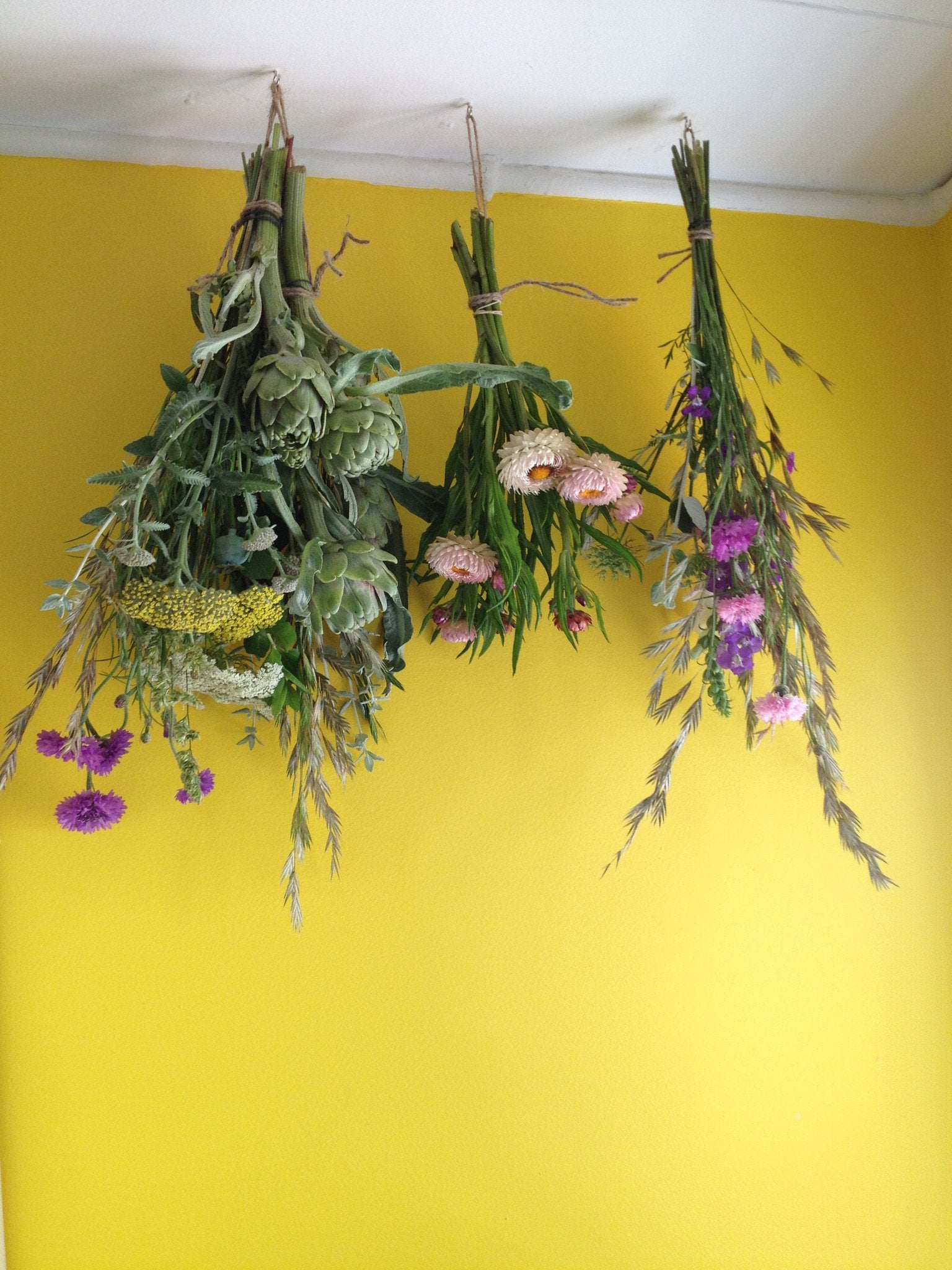Dried bunches!
